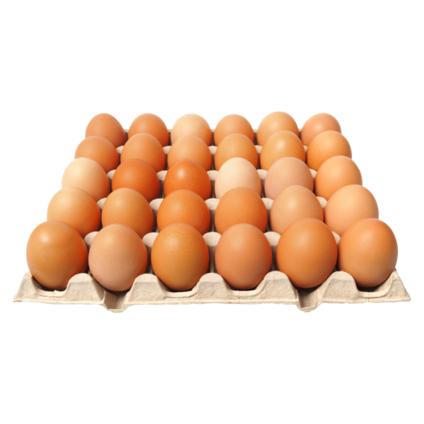Plateau de 30 Unités d'œufs frais de ferme