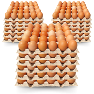 Carton  Œufs frais de la ferme ( 14 Plt )